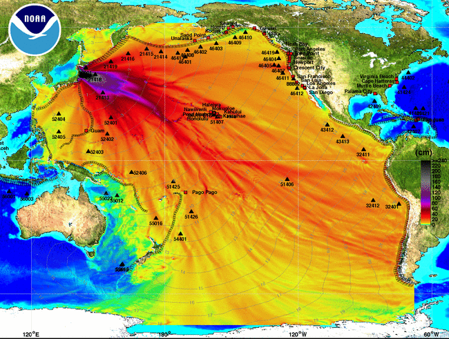 This map shows the model calculations for Friday's tsunami. The travel times are represented by the faint blue lines. The colors show the wave heights, from more than 30 feet (dark blue and purple) to less than 1 foot (yellow and green). The model agreed very well with the actual measurements. (Source: Noaa)