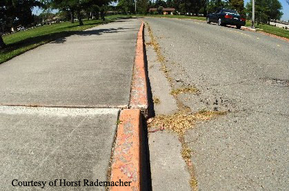 Photo showing an offset curb caused by creep on the Hayward Fault.