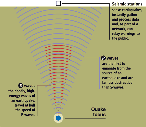 Illustration showing that S waves, which are very dangerous, travel more slowly than P waves, which are less harmful. Seismic stations pick up the P waves and alert the public.