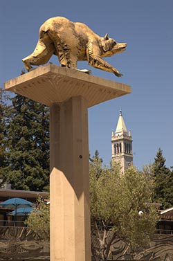 Stock photo of golden bear statue.