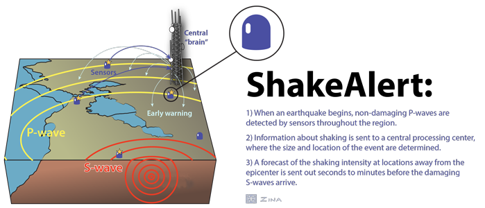 Infographic with text: When an earthquake begins, non-damaging P waves are detected by sensors throughout the region. Information about shaking is sent to a central processing center, where the size and location of the event are determined. A forecast of the shaking intensity at locations away from the epicenter is sent out seconds to minutes before the damaging S waves arrive.