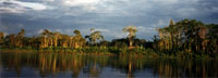 A Place Out of Time: Tropical Rainforests - Their Wonders and the Perils They Face. Information on rainforests, biodiversity, and environmental concerns. 